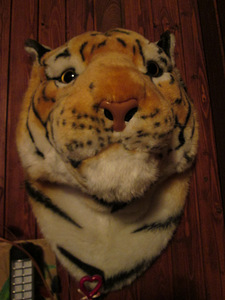 Большая голова тигра