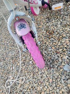 Lastejalgratas 12 tolli (5 foto / 5)