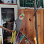 2 попугая корелла (фото #2)