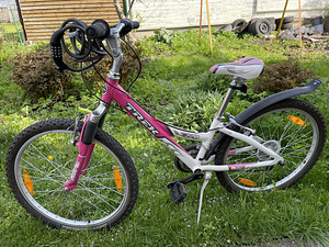 Jalgratas tüdrukule (2 foto / 2)