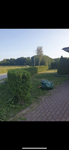 Muru niitmine ja võsa pügamine (4 foto / 5)