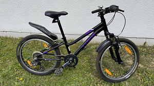 Trek laste jalgratas (1 foto / 4)