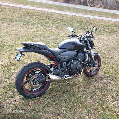 Honda Hornet