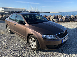 Skoda Octavia hästi hooldatud ja väga heas korras 189000km (1 foto / 13)