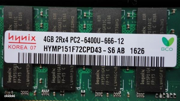 8GB 2x4GB RAM Память DDR2 PC2-6400U 800mhz AMD ПК, новый (фото #1)