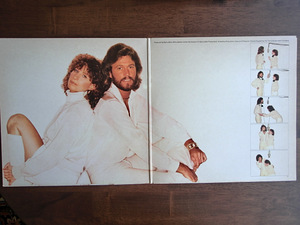 Barbra Streisand "Guilty" (2 фото из 5)