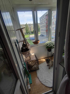 Põhja allee 8, Järve, Kohtla-Järve, Ida-Virumaa (8 фото из 11)