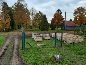 Kabala metskond 29, Kabala, Türi vald, Järvamaa (6 foto / 13)