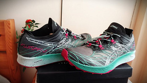Р..41( 26см)-ASICS FujiSPEED active run (6 фото из 9)