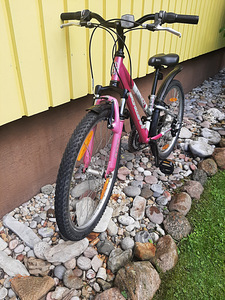 Noorte jalgratas 24" (5 foto / 5)