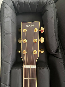 YAMAHA LJ6 ARE (5 foto / 9)