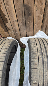 Pirelli zero r22 (5 фото из 7)
