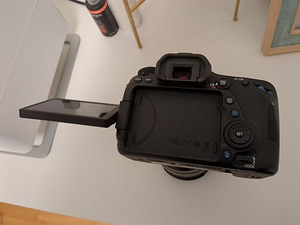 Canon 80D + Tamron SP 24-70mm F2.8 Di VC USD (5 foto / 8)