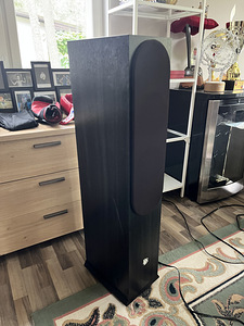 DLS R66 Hifi põrandakõlarid (2 foto / 4)