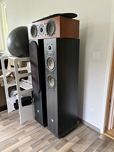 DLS R66 hifi põrandakõlarid (1 foto / 2)