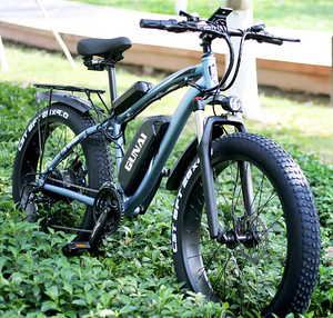 GUNAI MAASTIKU ELEKTRIRATAS FATBIKE (3 foto / 10)