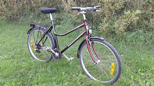 NORRA JALGRATAS "DBS KILIMANJARO" (2 foto / 3)