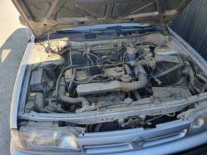 Nissan Primera W10 (10 foto / 10)