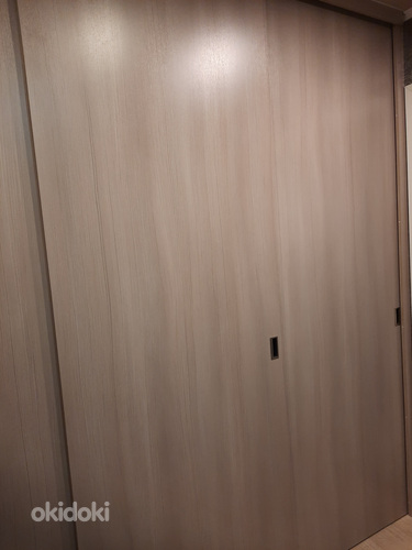Раздвижные двери для встроенного шкафа (фото #2)