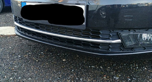 Uued kaitserauakatted Skoda Rapidile (1 foto / 3)