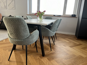 Söögilauatoolide komplekt, UUS (3 foto / 5)