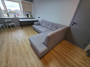 Diivan-voodi hall värvi heas korras (5 foto / 9)