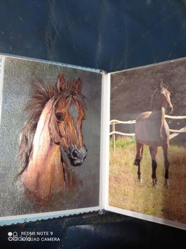 Postkaardid hobustega (foto #2)