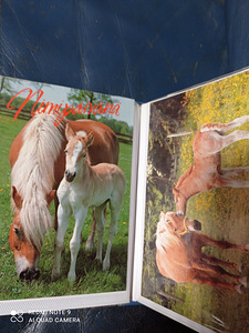 Postkaardid hobustega (3 foto / 3)