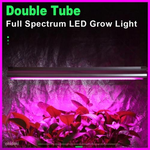 Fütolamp (LED-lamp taimede kasvatamiseks) (foto #1)