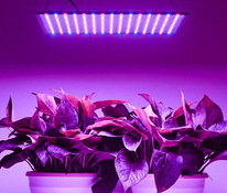 Üliõhuke ja ökonoomne LED fütolamp (2 värvi)
