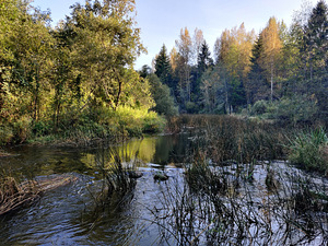 Sillajõe, Kanaküla, Saarde vald, Pärnumaa (1 фото из 9)