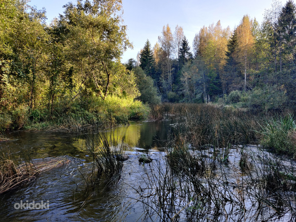 Sillajõe, Kanaküla, Saarde vald, Pärnumaa