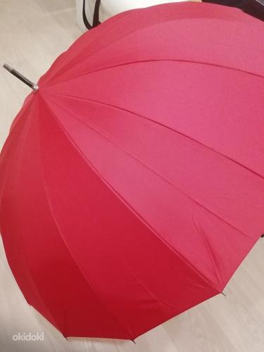 Зонт (фото #1)