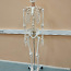 Скелет человека 170 см (фото #2)