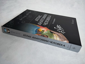 Frank Netteri inimese anatoomia atlas (3 foto / 10)