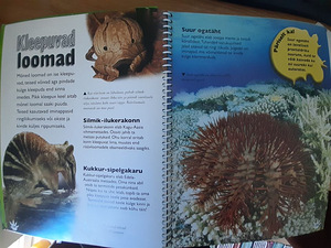 Raamat kummalised loomad (3 foto / 3)