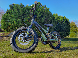 Детский велосипед Commencal Ramones 14" (1 фото из 5)
