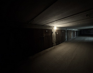 Kotka tn 7, Kristiine, Tallinn, Harjumaa (7 foto / 8)