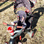 Детский велосипед, толкатель Smart Trike 4in1 (фото #1)
