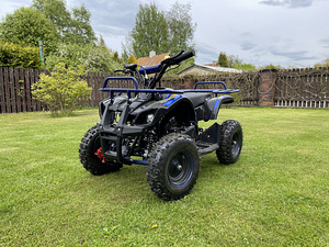 Laste ATV Apollo Torino Deluxe 50cc (1 foto / 10)