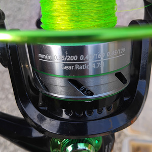 Spinning ja 45-50 lanti. (4 foto / 7)