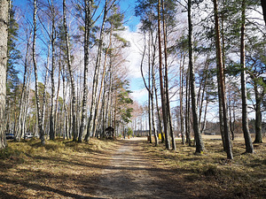 Järve tee 6, Klooga, Lääne-Harju vald, Harjumaa (47 foto / 49)