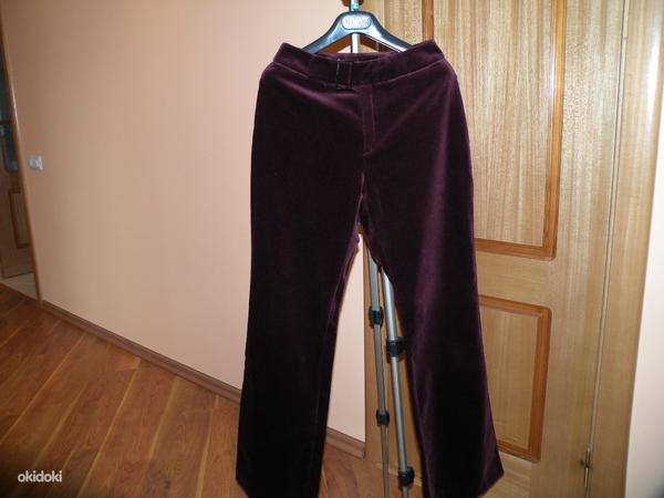 Бархатные брюки, размер 36 (фото #2)
