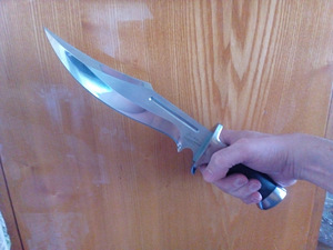 Kaks nuga Steel Will ja Bowie - Bowie (8 foto / 10)