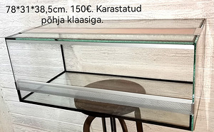 Terraariumid (7 foto / 10)