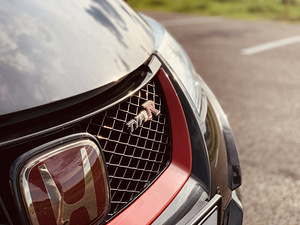 Honda civic type r (6 foto / 10)