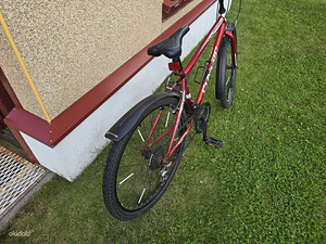 Jalgratas - Classic Monza (3 foto / 4)
