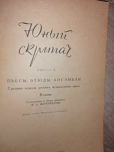 Noodid "Юный скрипач 2" (3 foto / 3)