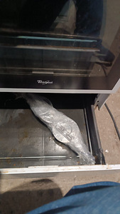 Keraamiline pliit whirlpool (4 foto / 4)