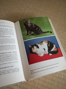 Атлас кошек (2 фото из 3)